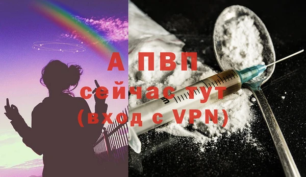 СК Балахна