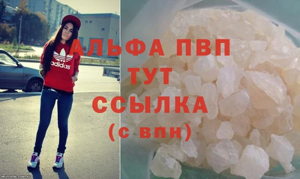 СК Балахна